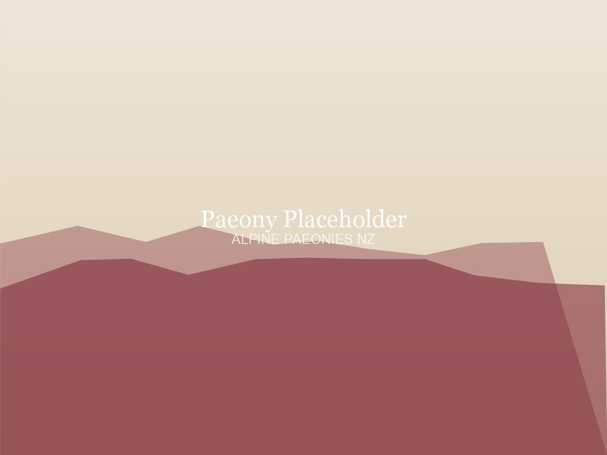 Hand-harvesting paeonies at dawn — placeholder