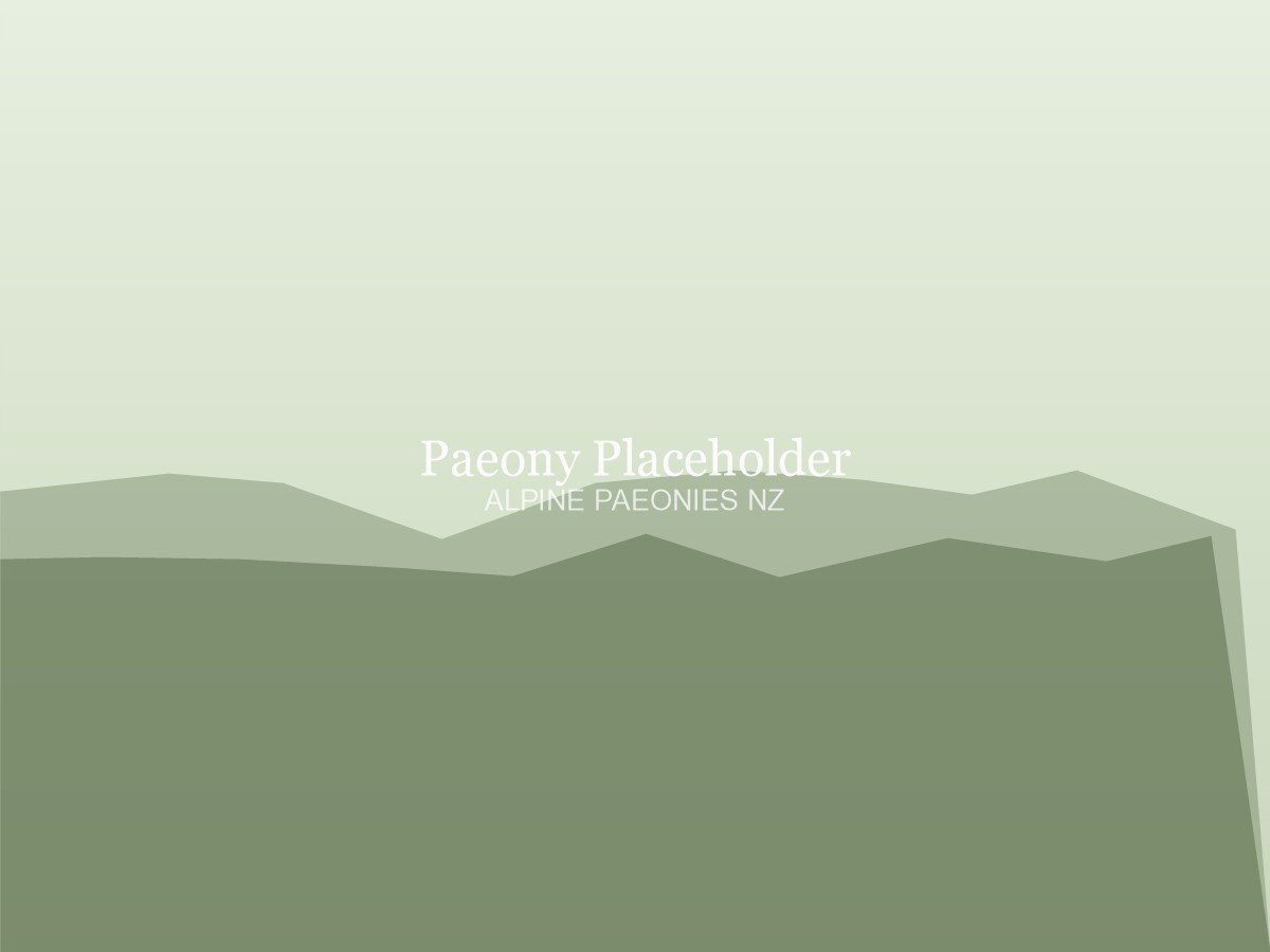 Paeony rows at Alpine Paeonies NZ, Christchurch — placeholder