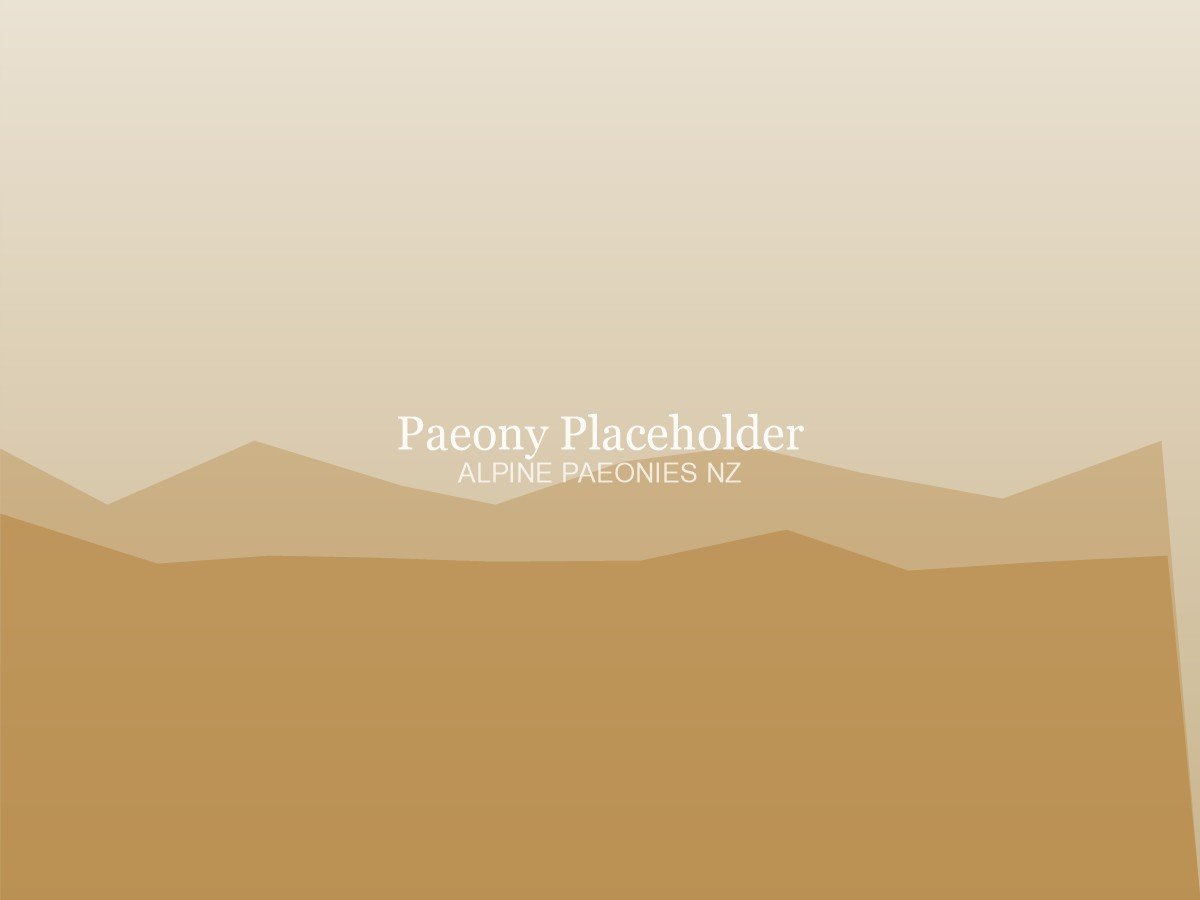 Angel Cheeks paeony placeholder