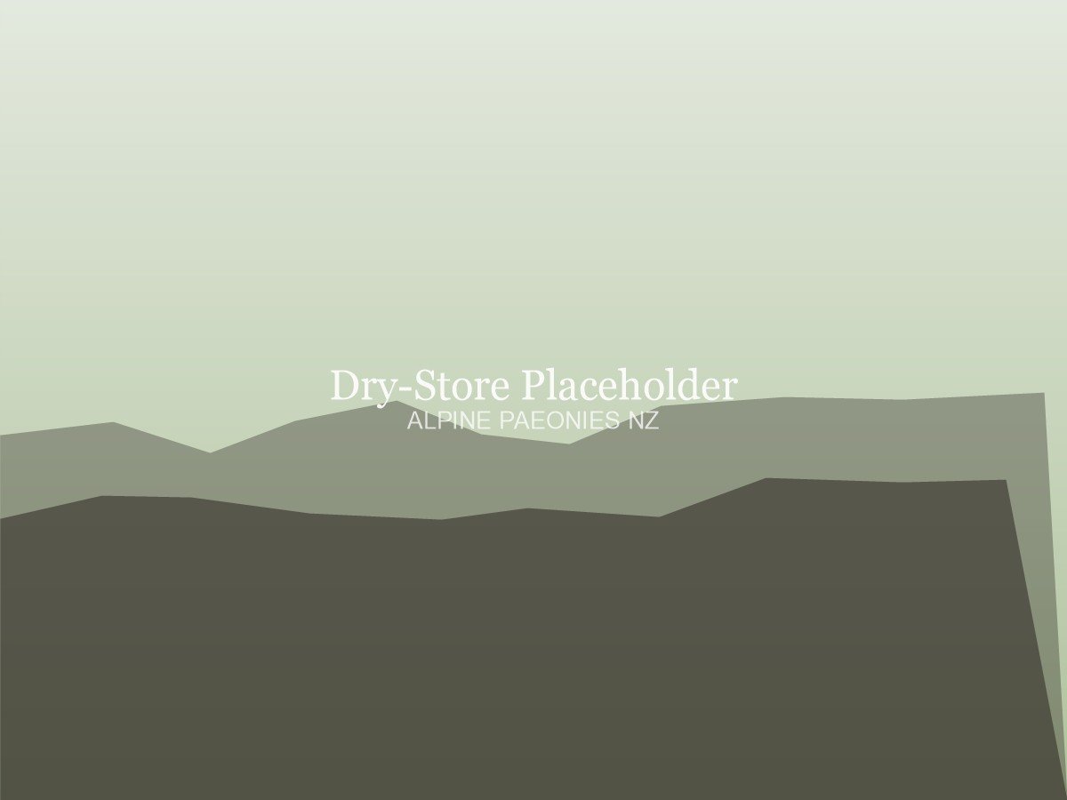 Dry Store Process Placeholder