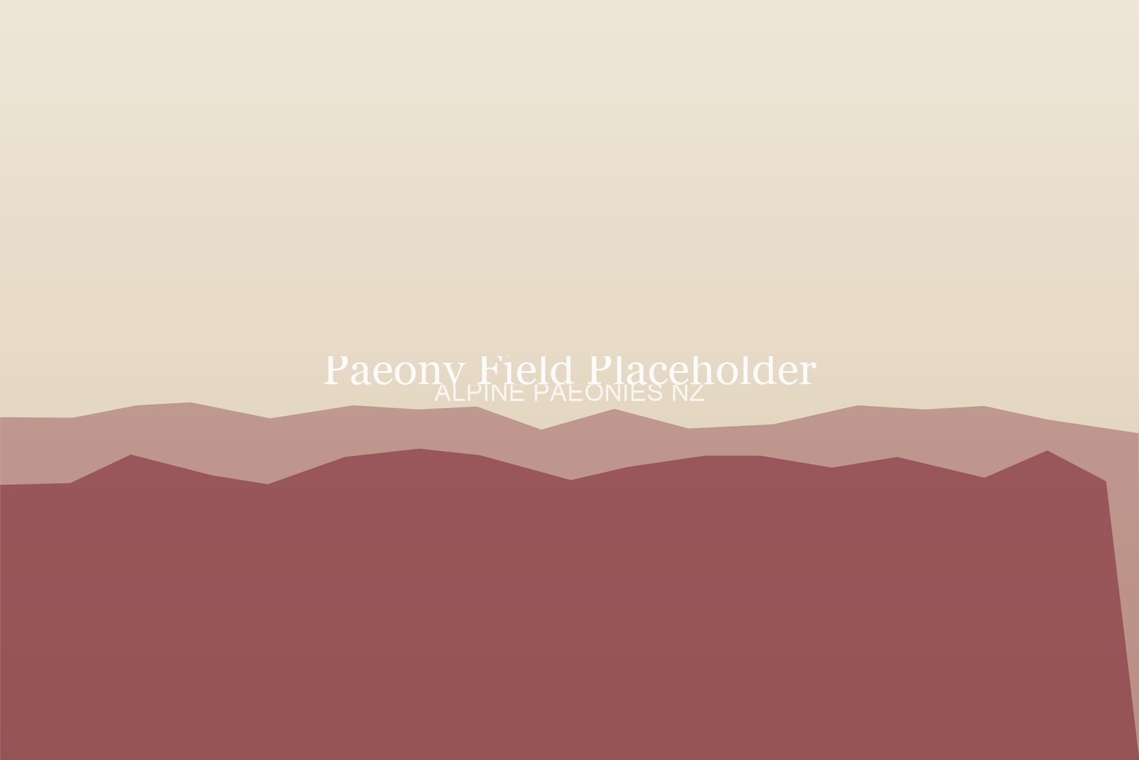 Paeony field placeholder — Alpine Paeonies NZ, Christchurch